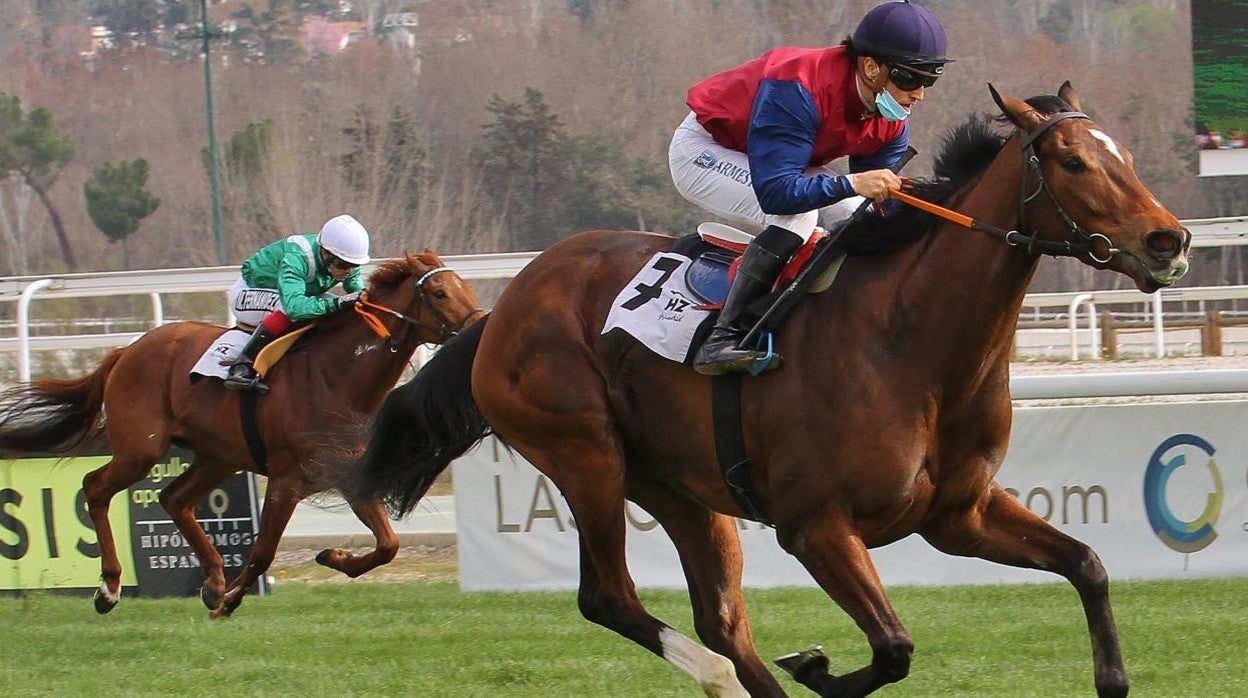 Carreras de caballos en el Hipódromo de la Zarzuela