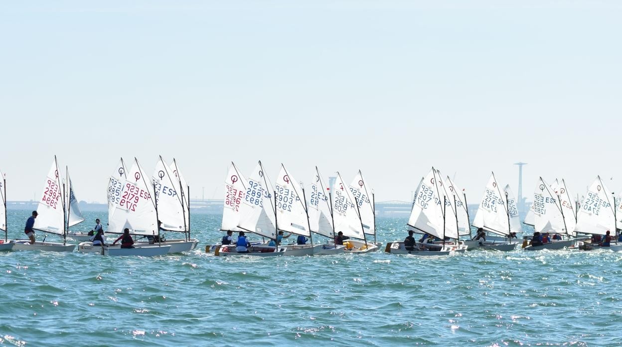 Cádiz acoge la Copa de Andalucía de Optimist