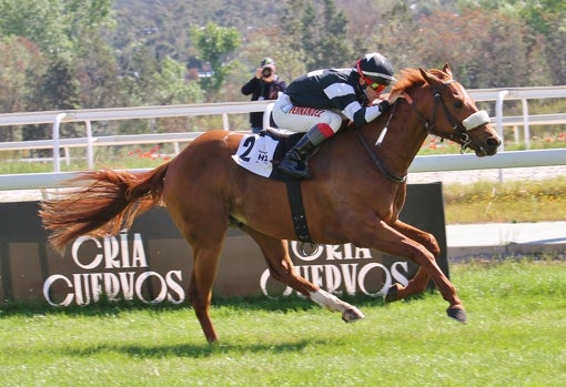 «BRIBON» - 1ª CARRERA «PREMIO PRIMER PASO»