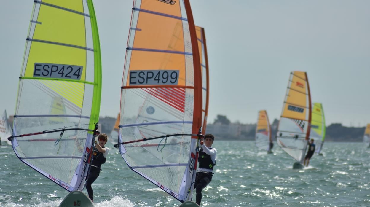 Regatistas de la clase Techno en aguas de la bahía de Cádiz.