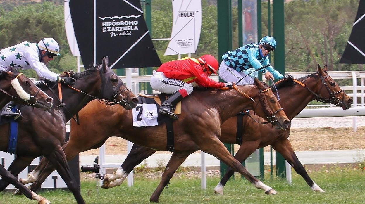 Star of Bengal ganó la quinta carrera, el Premio Nertal