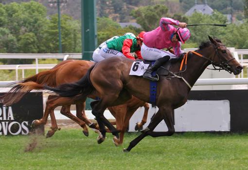 Viana ganó el Premio Teresa