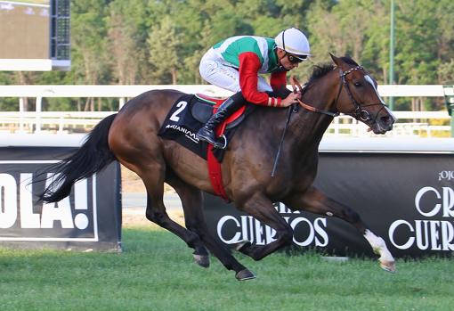 Atty Persse, en la cuarta carrera, el premio del Hipódromo de la Castellana