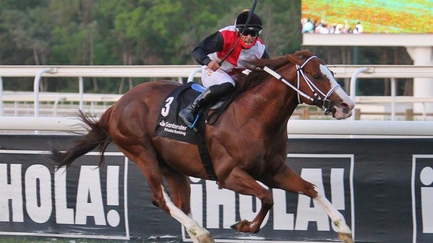 'El Guanche', el más rápido vence de nuevo en el Gran Premio Urquijo