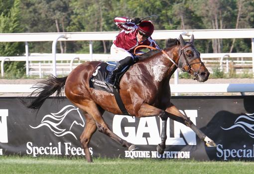 "ST PETERS BASILICA"- 2ª Carrera Premio El País