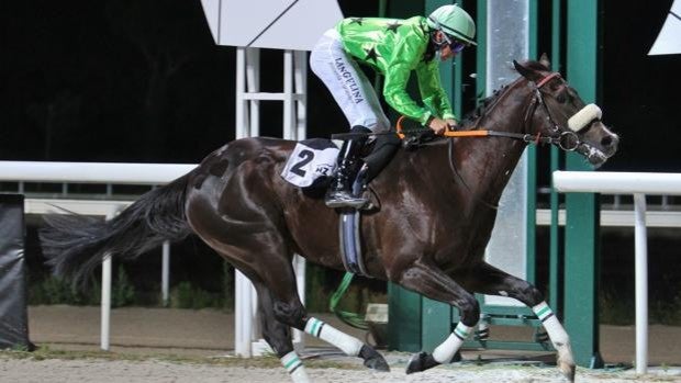 Segundo sábado de planazo en el Hipódromo de Madrid