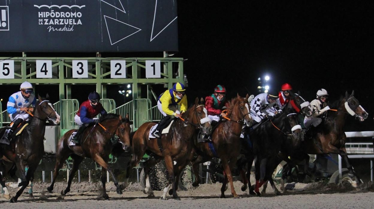 Jueves de planazo en el hipódromo de Madrid