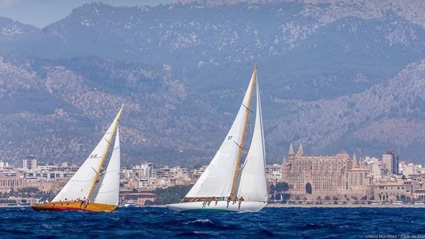 Del 13 al 15 de agosto la XXVI Regata Illes Balears Clàssics