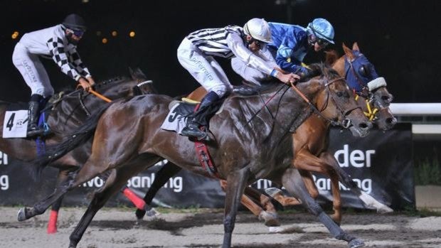 Continúa el éxito de las «noches del Hipódromo»