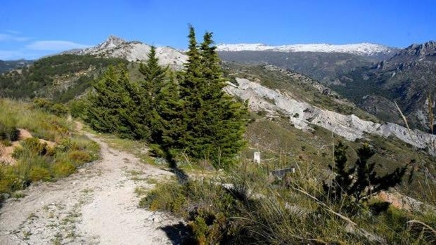 Sierra Nevada, el techo ibérico