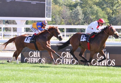 «SHANGRI LA» - 1ª CARRERA «PREMIO ARQANA - BIBLIOTECA DEL TURF 'MIGUEL ANGEL RIBERA»