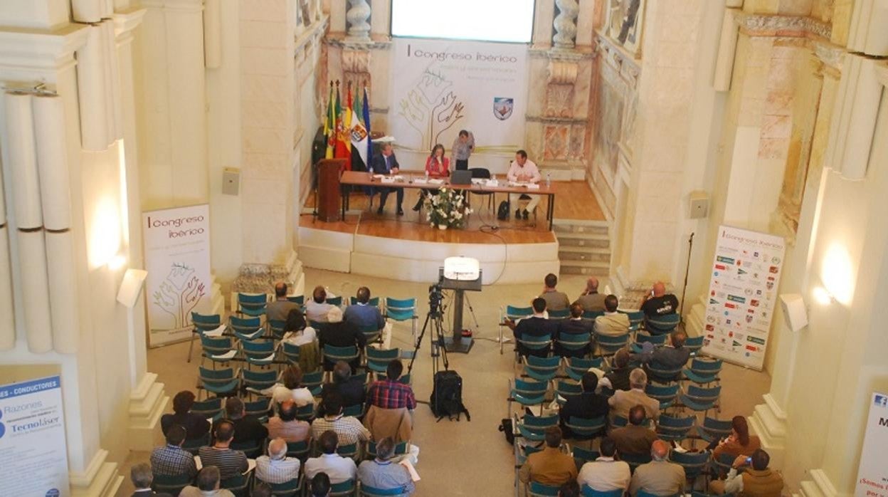 Imagen del primer congreso, celebrado hace cinco años en Olivenza (Badajoz)