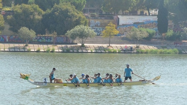 El CD Sevidragon se impone en la Copa de Andalucía de Braco Dragón