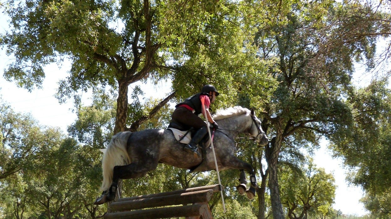 Un binomio, saltando un obstáculo en el la Gran Semana del Caballo Anglo-Arabe