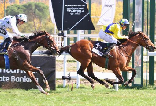 Chevaliere Cathare ganó la quinta carrera, el Gran Premio Memorial Duque de Toledo