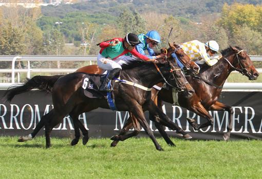 "My Flinders" - "Guerreira" - "Quinchia", llegada del Gran Premio 79 aniversario Hipódromo de la Zarzuela