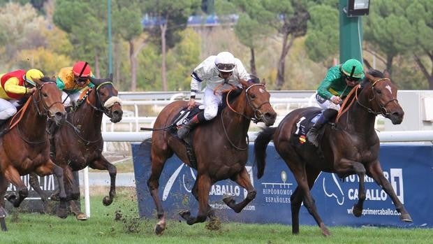 El Hipódromo de Madrid presume de lo español con el Gran Premio Nacional y las Copas de Criadores