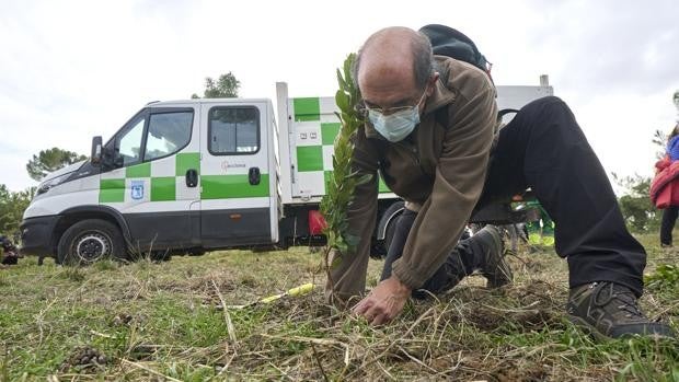 El Acciona Open de España logra un impacto positivo con la plantación de 4.000 árboles en Madrid