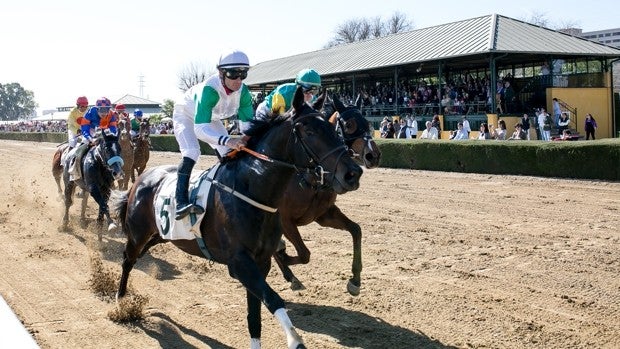 Ochenta años de carreras de caballos en Pineda, un escenario emblemático