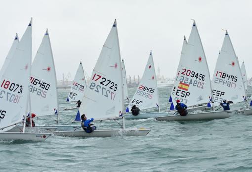 Regatistas de la clase Laser en una prueba anterior en la bahía de Cádiz.