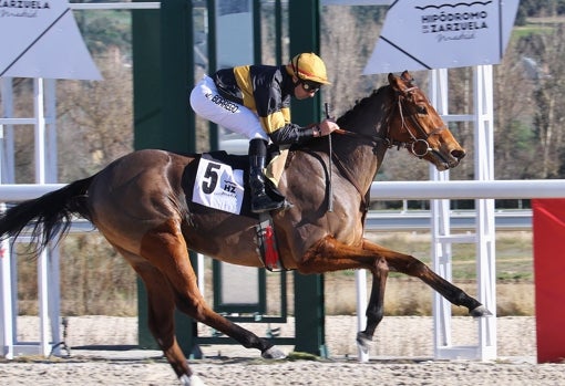 «Portalma» - 2ª carrera «Premio Abrantes»