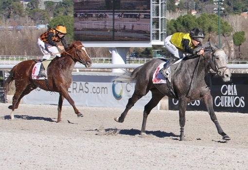 «Headhunter» - 4ª carrera «Premio Diario Marca»