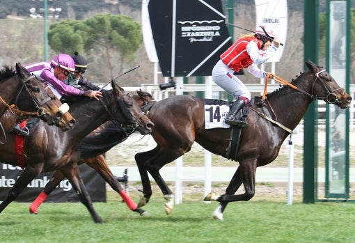 «ATLÁNTICO» - 6ª CARRERA «PREMIO PEÑA RAMIRO»