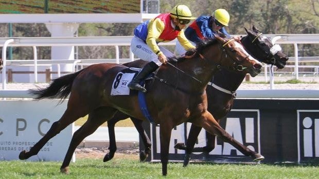 'Samedie Rien' y 'Merano', de la yeguada Rocío, favoritos en los Premios Atlántida y Torres Arias