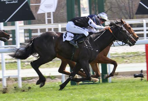 La tercera carrera, el Premio Synergy, la ganó Tiger Bash