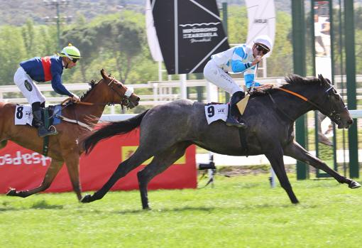 Sohrab, ganador de la primera carrera, el Premio Primer Paso