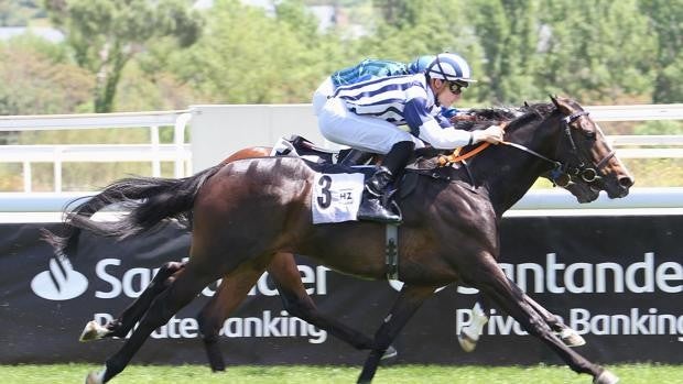 Un espectacular 'Australia Cape' vence en el Premio Velayos, confirmando su candidatura al derby