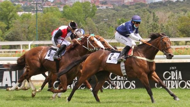 El Premio San Isidro trae la esperada reaparición del campeón Great Prospector