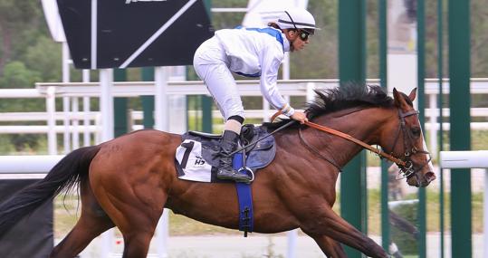 "TRITÓN" - 7ª CARRERA "PREMIO JOSÉ ANTONIO RODRÍGUEZ"