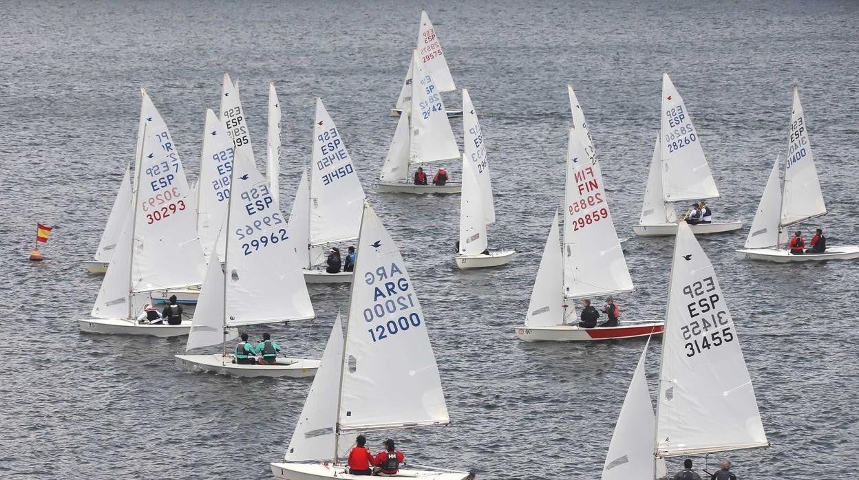 Cincuenta snipes en el Pantano de San Juan para el Trofeo San Isidro