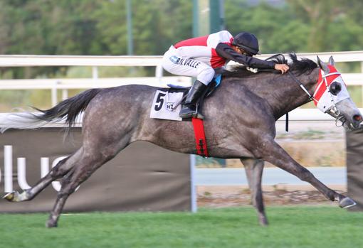 Belador ganó la quinta carrera, el Premio Richal