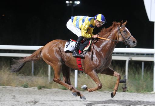 Sam Bellamy ganó la séptima carrera, el Premio Abe de Fuego