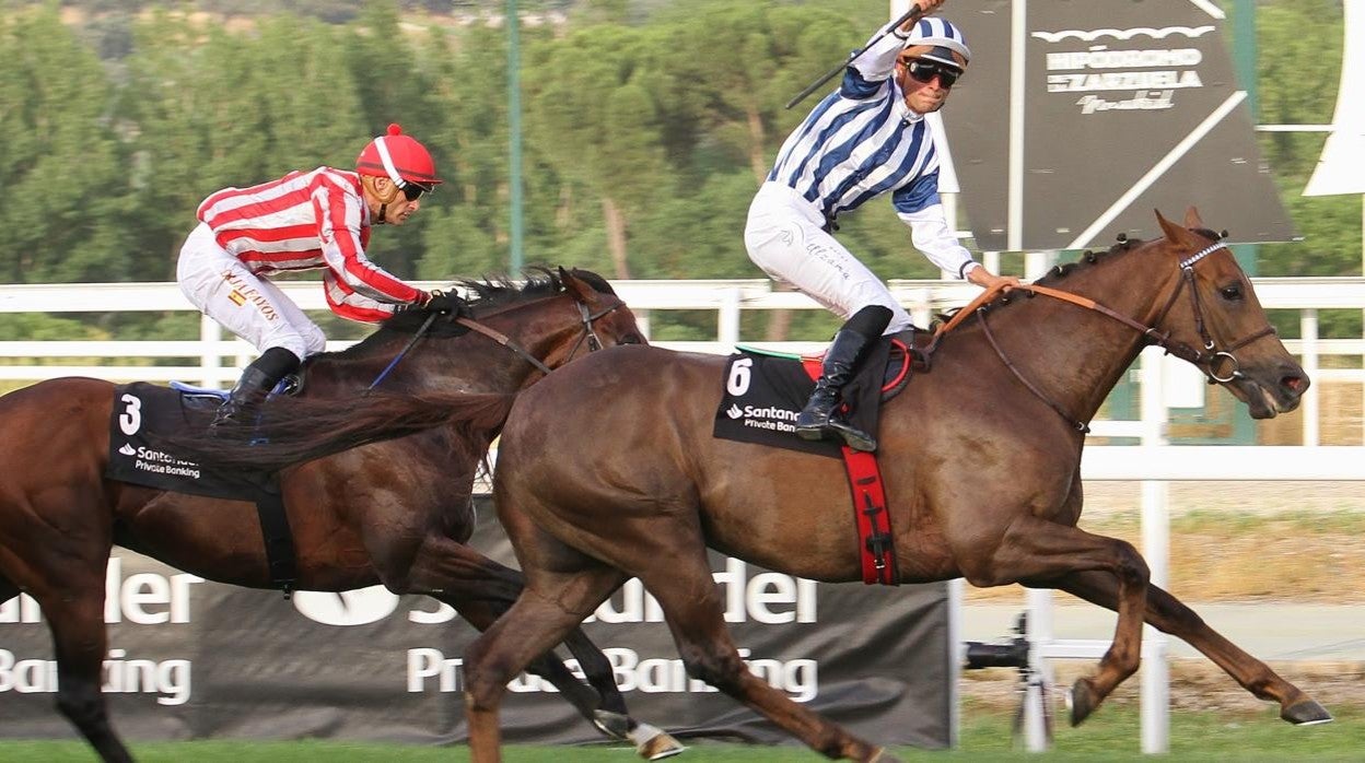 Simply Strking ganó la cuarta carrera, el Gran Premio Claudio Carudel