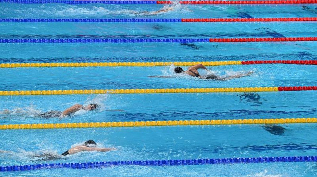 El dominio de Ledecky en la final de los 800 libres