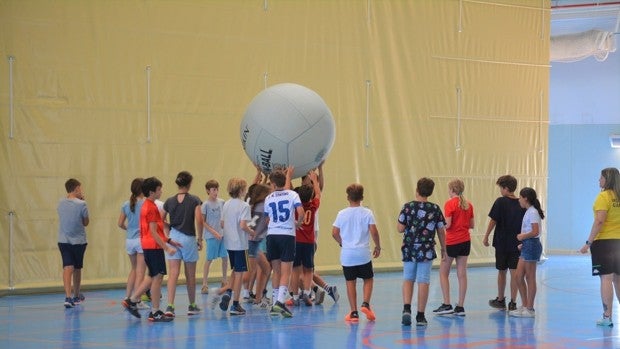 Luz verde al Campus Deportivo de Verano de la US