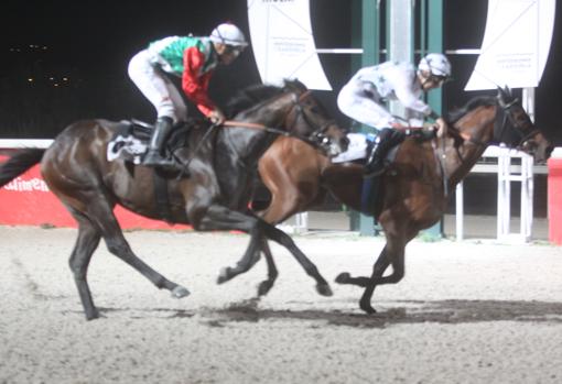 Vegadeo, ganador de la segunda carrera, el Premio Azafata