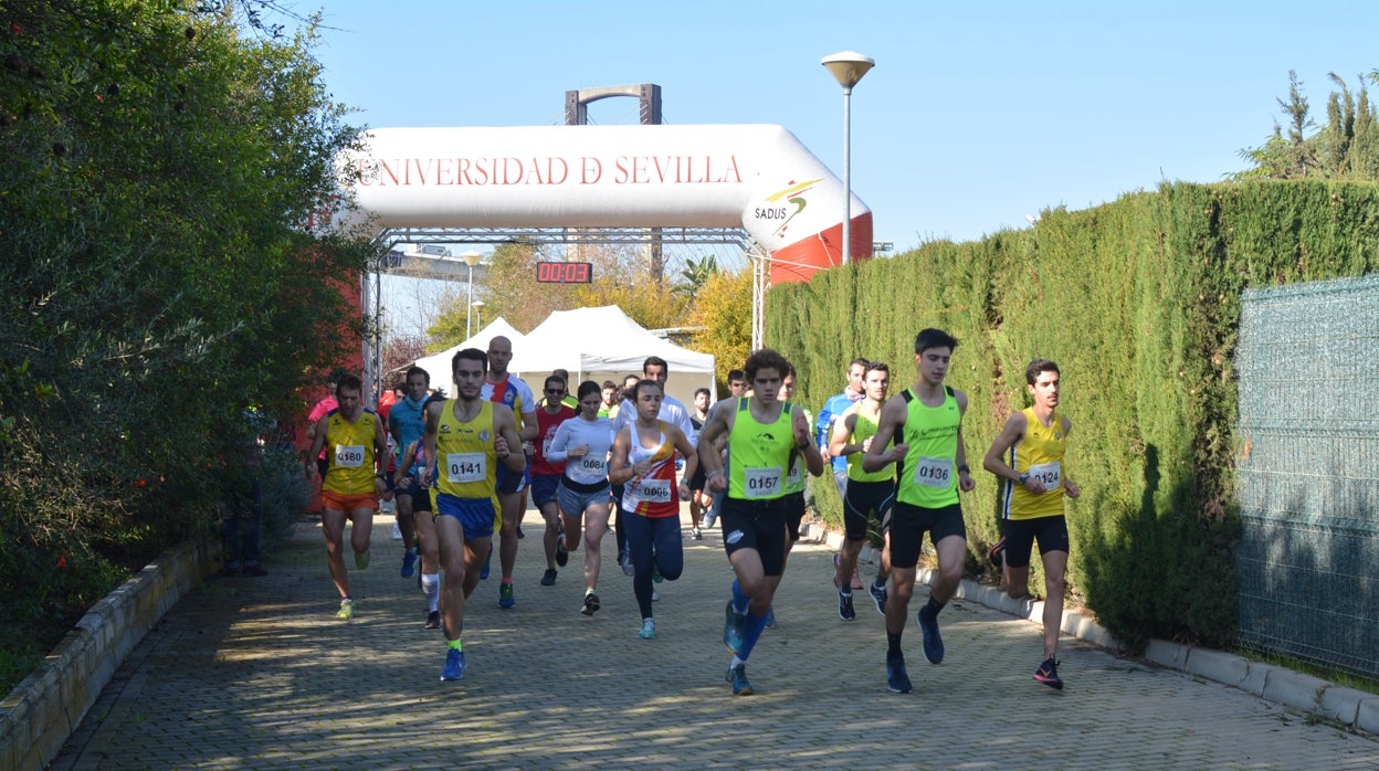 Carreras universitarias