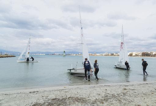 Más de 200 embarcaciones de vela olímpica disputarán la Mallorca Sailing Center Regatta