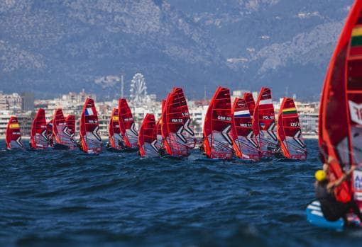 El iQFOil, la nueva clase olímpica disfrutó del viento palmesano