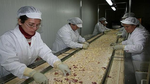 Trabajadoras en una planta