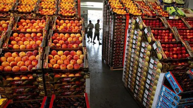 Los envíos de fruta fueron los más afectados, con un retroceso del 7,8% en volumen