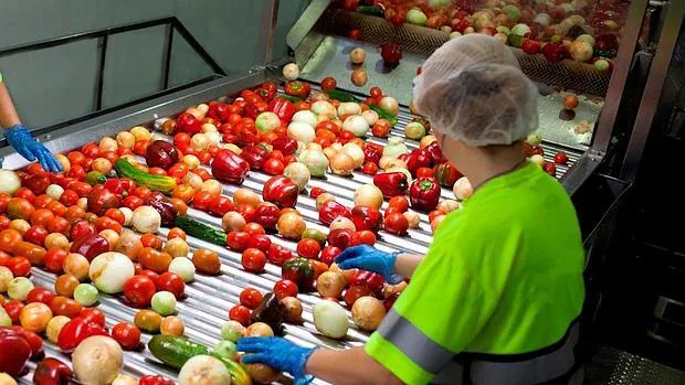 Una trabajadora selecciona las hortalizas en la planta de Alvalle