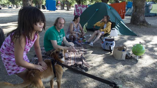 El camping es una alternativa cada vez para más turistas, sobre todo si veranean en familia