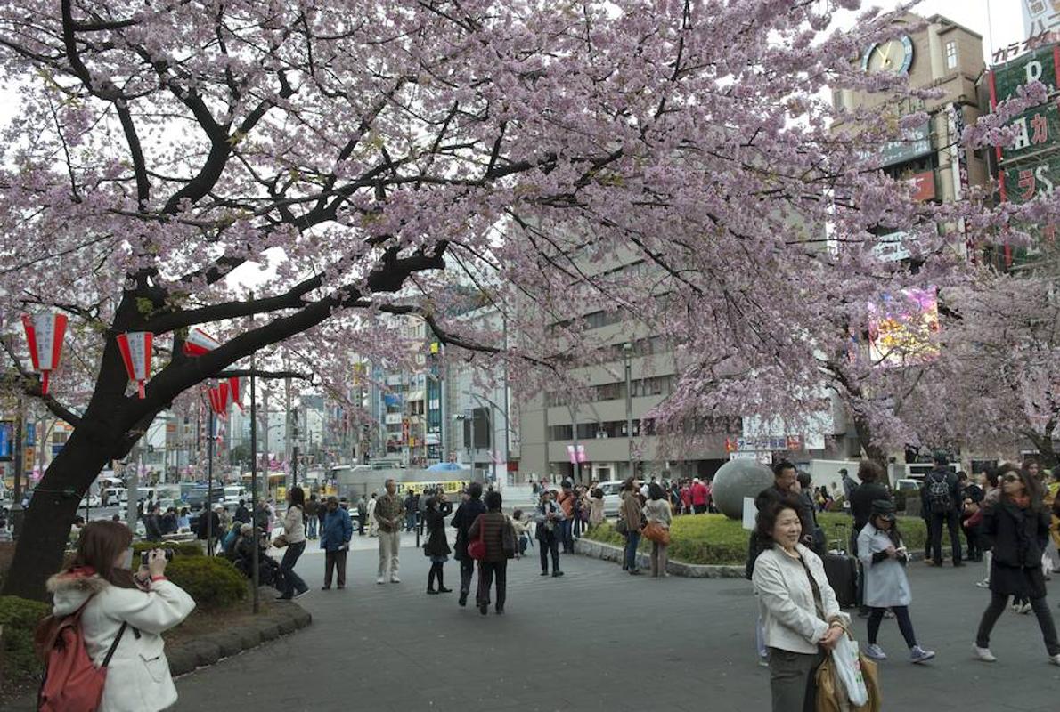 Un parque de Tokio