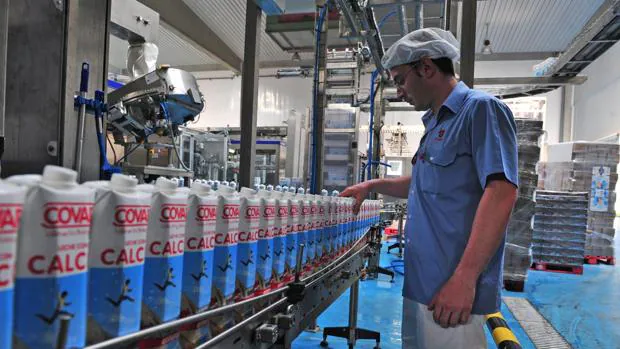 Las explotaciones españolas reducirán su producción de leche en 31..000 toneladas