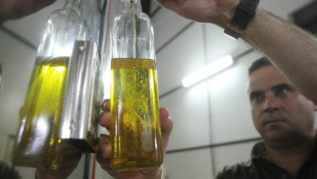 Andalucía ha exportado aceite a 146 países